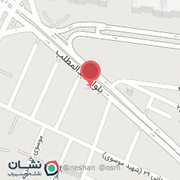 عکس مواد غذایی نگین