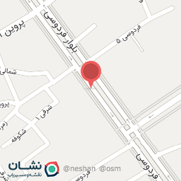 عکس پیتزا نبکا