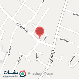 عکس پرنده فروشی