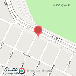 عکس فلافل علی