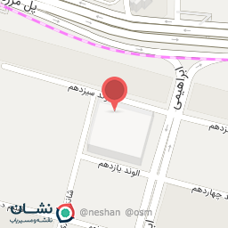 عکس تهیه غذای پارس بانو