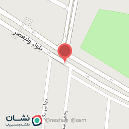 عکس تهیه غذا ریحون