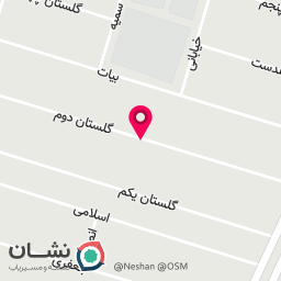 عکس آرین چین یدک 