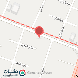 عکس دنیای اسباب بازی دلفینها