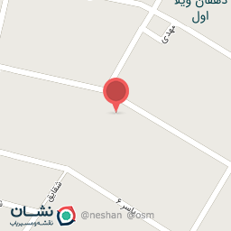 عکس پیتزا ۲۱