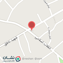 عکس کیف و کفش آراد