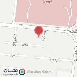 عکس دکتر ستاره روحانی متخصص طب فیزیکی