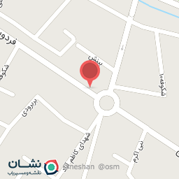 عکس الکتریکی حسن رضایی