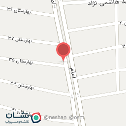 عکس پیتزا ساندویچ خروس