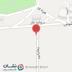 عکس تعویض روغنی علی