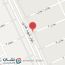 عکس گوشت مرغ ماهی ارسلان