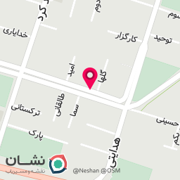 عکس تیپاکس استاد حسن بنا شعبه شمس آباد