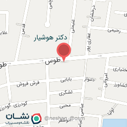 عکس اگزوزسازی