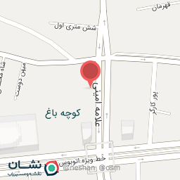 عکس بورس برنج عزیزی