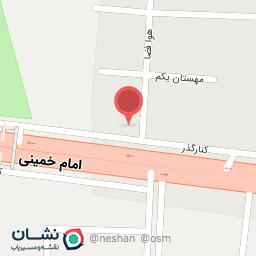 عکس پیتزا ژاو