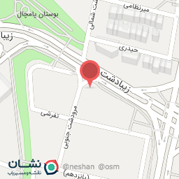 عکس دکتر شیوا سیه بازی