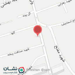 عکس کیف و کفش تاج 