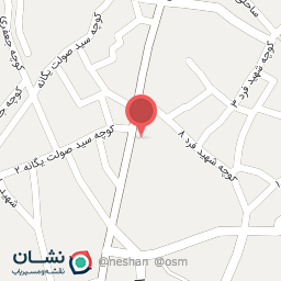 عکس فرش و موکت حافظ