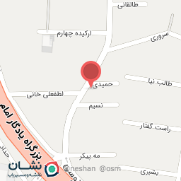 عکس پیتزا ایتالیایی سدار