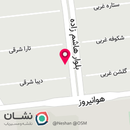 عکس اتوسرویس میلاد
