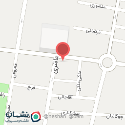 عکس پیتزا یاشار2