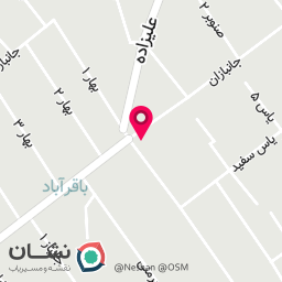 عکس پروتئین فست فود عزیزی