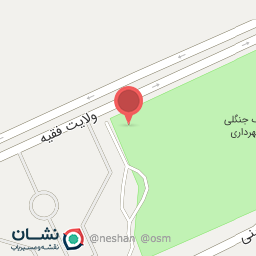 عکس کیف و کفش ماتمازل