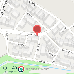 عکس پیتزاویچ