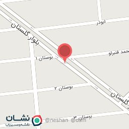 عکس کیف و کفش پاناز