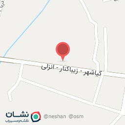 عکس پیتزا برکه