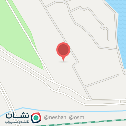 عکس سمور سنگی - Stone Marten