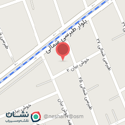 عکس شوینده بهداشتی دیانا