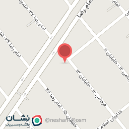 عکس دیزل بادیگارد