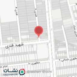 عکس الکتریکی شاهین