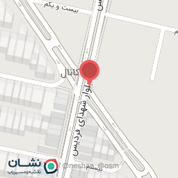 عکس کفش پالیزان