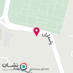 عکس پیتزا خاتون اقدسیه