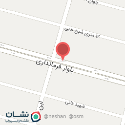 عکس میوه تره بار تکچین 