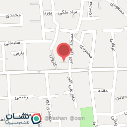 عکس کفش آیسا