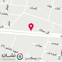 عکس پیتزا +400