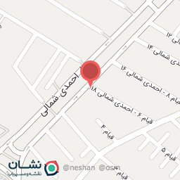 عکس تزیینات خودرو 