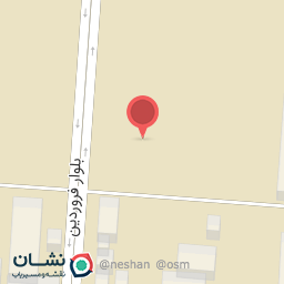 عکس پنیر پیتزا مطهر