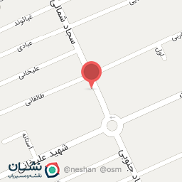 عکس پیتزا تنوریکو