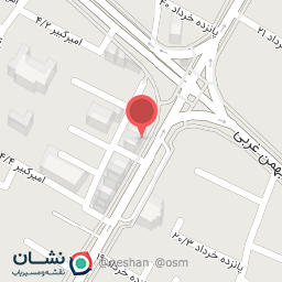 عکس پیتزا آوین