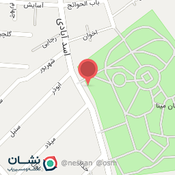 عکس هیئت سالار زینب سلام الله علیه