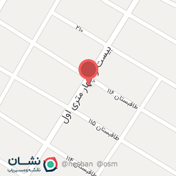 عکس مشاور املاک پارسیان