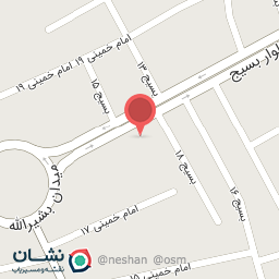 عکس اگزوز سازی