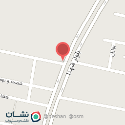 عکس کارواش دلفین