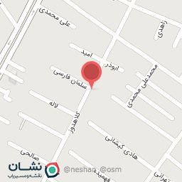 عکس بیمه سامان (عباس نجفی) 