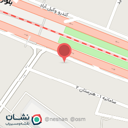 عکس گل سعید سالاری