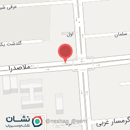 عکس دکتر طالب بدری